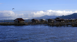 Tondano Lake, Pics Courtesy: Bagus Lesmana